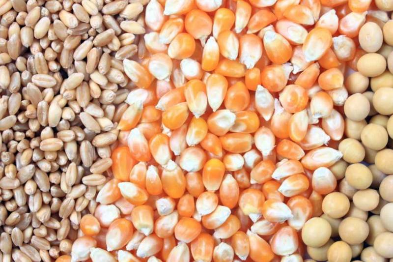 صنعت خوراک دام، طیور و آبزیان مشمول تحریم نیست